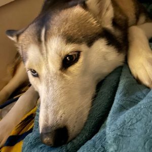 Meet your Posher, Luis